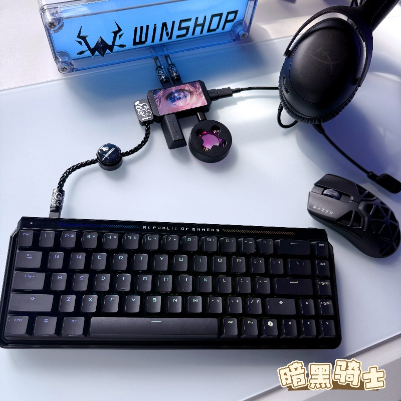 WINSHOP Esports HUB Dual-In 4- – Desk Setup Aesthetic recenzja i cena