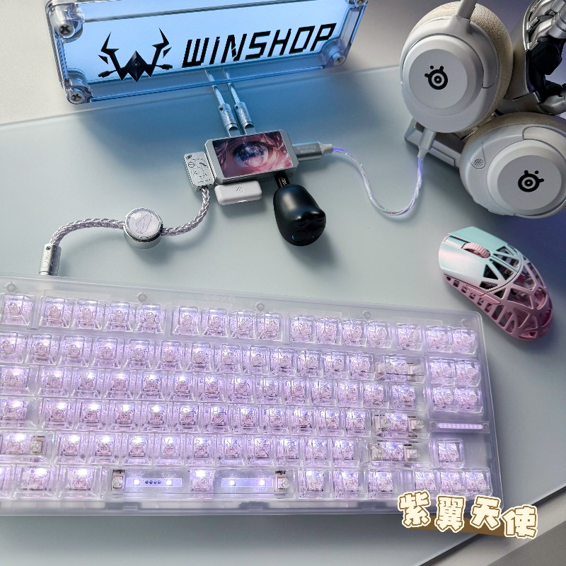 WINSHOP Esports HUB Dual-In 4- – Desk Setup Aesthetic recenzja i cena