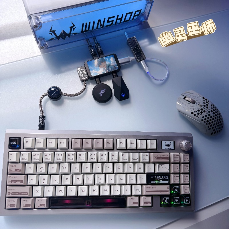 WINSHOP Esports HUB Dual-In 4- – Desk Setup Aesthetic recenzja i cena